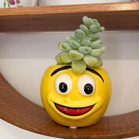 Casa Da Pitoquinha I *